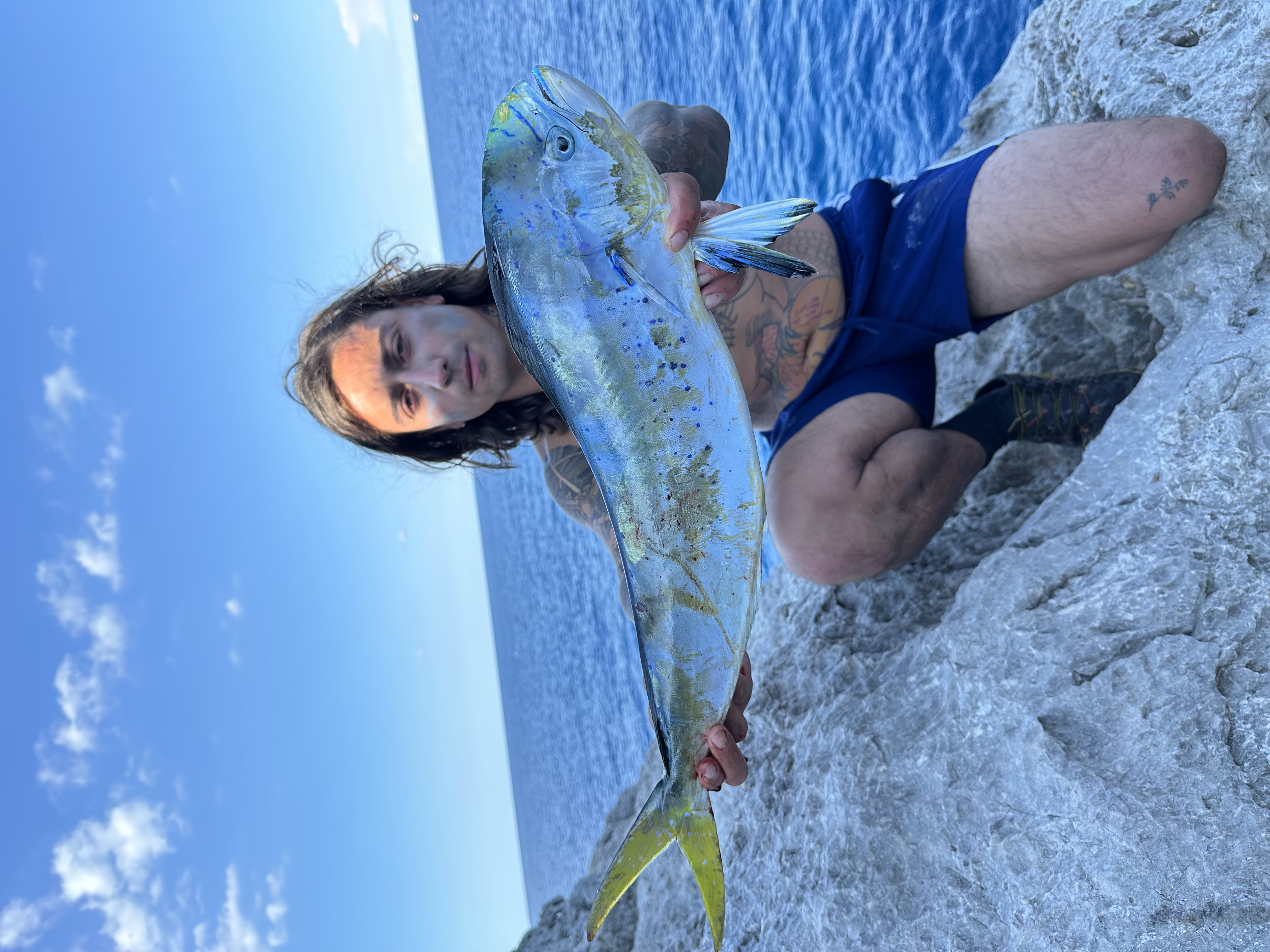 Mahi Mahi